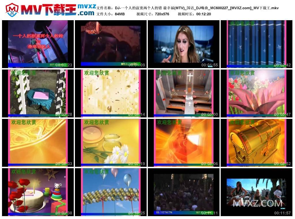 DJ-一个人的寂寞两个人的错 最幸福(MTV)_国语_DJ嗨曲_MC600227